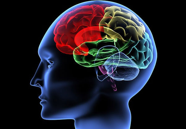 Your Brain Before and After Gastric Sleeve